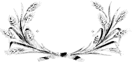 Fargo Film Festival